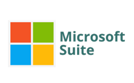Microsoft Office Logo X2