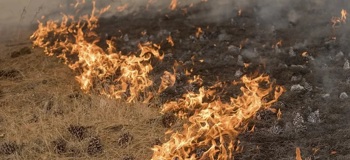 A grassland fire.