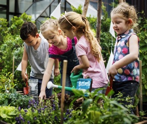 Children learning about healthy eating via gardening.