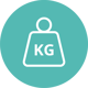 Access Weighsoft Weighbridge icon