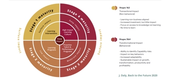 learning maturity model