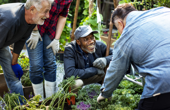 Group of people looking at plants