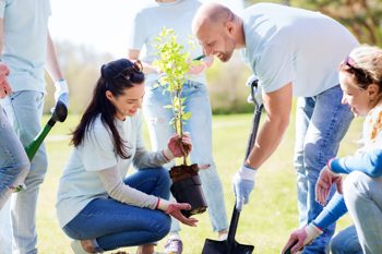 image of a green social prescribing group planting to show how INTs and social prescribing are linked