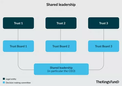 King's Fund graphic on shared leadership within a provider collaborative.