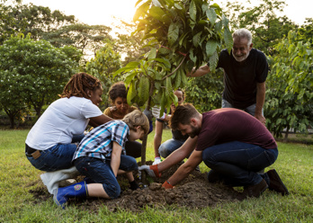 family housing a tree in the yard