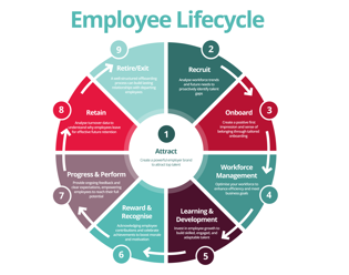 Employee lifecycle wheel