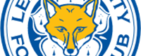 Finance software solutions leicester city logo