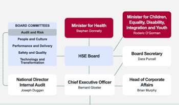 HSE board of executives and managers.